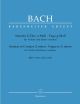 2 Sonatas: Bwv1021 -1023 -Fugue 1026: Violin & Piano (Barenreiter)