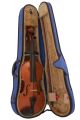 Zeller Viola Outfit