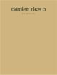 Damien Rice O: Guitar