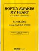 Softly Awakes My Heart: Trumpet And Piano  (Studio)