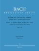 Cantata No.27: Wake Ye Maids! Hark Strikes The Hour: Bwv140: Vocal Score