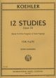 Progress In Flute Playing Op.33 Book 2 12 Studies (International)