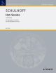 Hot-sonata : Alto Saxophone & Piano