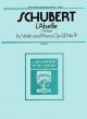 The Bee Op.13/9: Violin & Piano