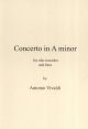 Concerto A Minor RV108: Treble Recorder & Piano