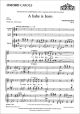 A Babe Is Born: Vocal Satb & Organ (OUP)