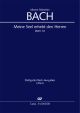 Meine Seel Erhebt Den Herren: Vocal Score