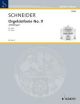Organ Simphonie: 9: Pathetique: Organ