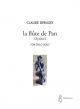 La Flute De Pan/Syrinx: Cello Solo