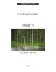 Sprites: Three Flutes And Alto Flute