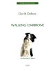 Walking Cimbrone: Bassoon And Piano