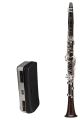 Buffet Divine Clarinet