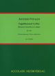 Bassoon Concerto G Major RV493: Bassoon And Piano
