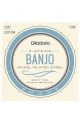 D'Addario EJ60 5 String Banjo Loop End Set Light 9-20