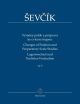 Changes Of Position & Preparatory Scales Studies Op8: Violin (Barenreiter)