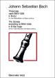 Trio Sonata in B-flat (originally in G) (BWV 1039). : Recorder Ensemble: (Barenreiter)