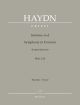 Symphony No. 26 in D minor (Lamentazione) (Hob.I:26) (Urtext). : Large Score Paperback: (Barenreiter