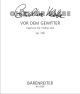 Vor dem Gewitter Op.128.  Capriccio for Violin solo. : Violin: (Barenreiter)