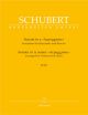 Sonata for Arpeggione in A minor (D.821) arranged for Clarinet in B-flat.: Clarinet & Piano: (Barenr