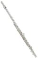 Di Zhao 601CEA Flute