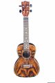 Blackwater Butterfly Wood Concert Ukulele