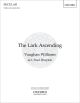 Lark Ascending: Violin & Mixed Choir