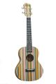 Adam Black Tenor Ukulele Rainbow