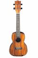 Blackwater Walnut Concert Ukulele