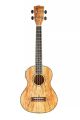 Blackwater Electro Acoustic Spalted Maple Tenor Ukulele