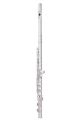 Trevor James Chanson Flute Outfit - Straight Head. CS Shaped Lip