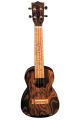 Blackwater Techwood Concert Ukulele
