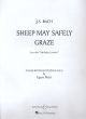 Sheep May Safely Graze: Piano  (B&H)