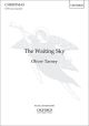 The Waiting Sky