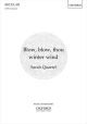 Blow, blow, thou winter wind