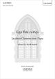 Ego flos campi DSM