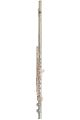 Trevor James 10XEP Solid Silver Lip Plate Flute