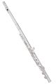 Trevor James Chanson Voce Head Flute