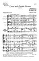 Seven Poems No. 4 Clear And Gentle Stream: Satb