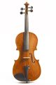 Stentor Elysia 16" Viola