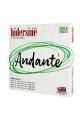 Hidersine Andante  Viola String Set