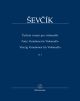 40 Variations For The Violoncello (Barenreiter)