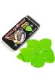 Snarling Dog Pick Tin: Green .53mm (12 Picks)